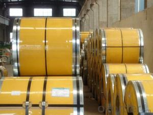 Cold Rolled Stainless Steel Strip 304 Serious
