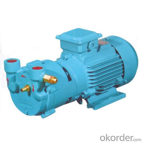 Vacuum Pumps SKA System 1