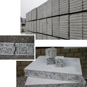 Concrete Panels Light Concrete Panels for Prefab House Cement House