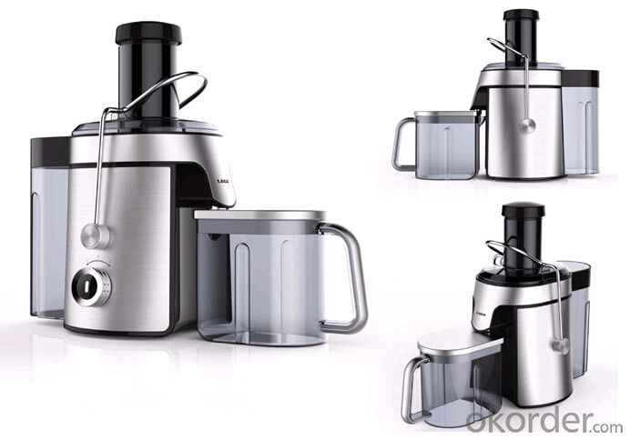 Stainless steel 800w juicer System 1