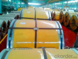 Stainless Steel Coil 304 Cold Rolled Surface 2B with High Quality