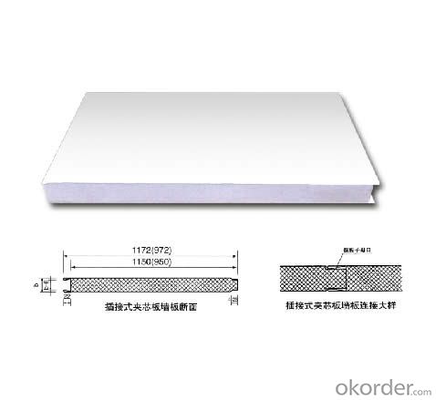 EPS Sandwich Wall Panels System 1