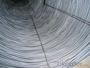 Hot Rolled Carbon Steel Wire Rod