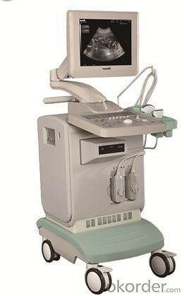 Full-digital Ultrasound Diagnostic System