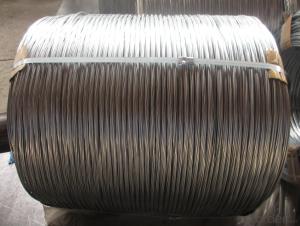 High Quality Hot Dipped Galvanized Iron Wires For Chainlink Fencing System 1