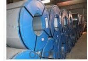 EXCELLENT COLOR COATED STEEL COIL-RAL 9003 System 1