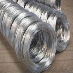 Hot Dipped Galvanized Steel Wires System 1