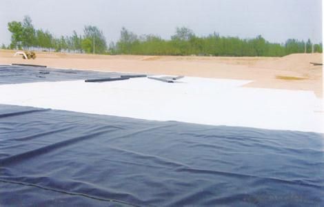 Geotextiles Anti-grass Cloth BT20-15 System 1