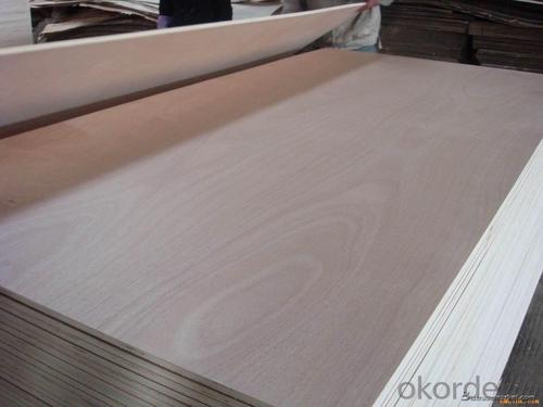 Veneer Faced Plywood Melamine Faced Plywood System 1