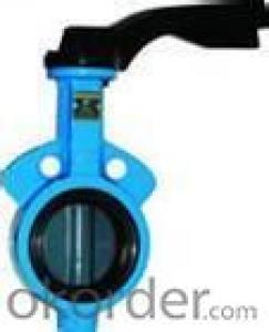 butterfly valve  wafer and lug styles System 1