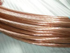 Copper Clad Steel Wire & CCS Wire China Product System 1