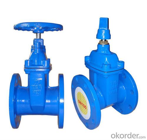 CNBM Ductile iron valve BS/DN/ISO GATE VALVE System 1