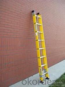 short fire rescue ladder