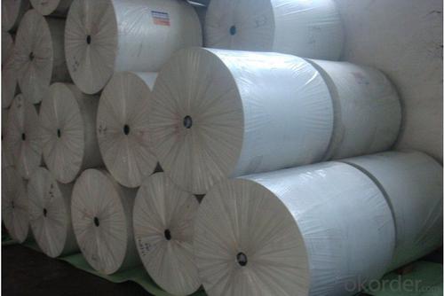 High Tensile Strength Staple Fiber Polyester Mat System 1