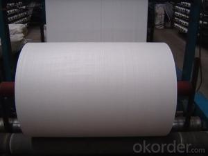 Long Fiber Polyester Mat