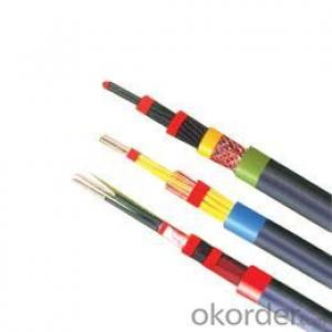 PVC Sheathed Flexible Control Cable Plastic Insulated Cable System 1