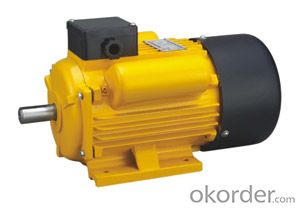 Electric Motor YCL