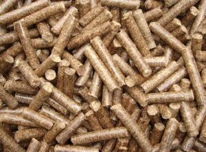 Competitive price Wood pellets