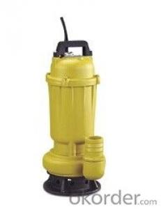 WQ(D) Submersible Sewage Pump System 1