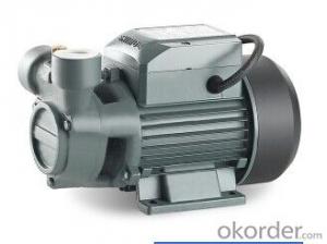 SQm Peripheral Warer Pump