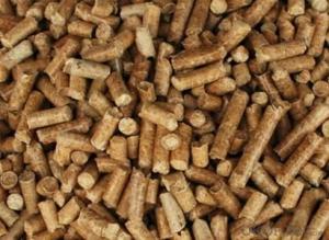 High-quality wood pellets/Manufacturer of wooden particles