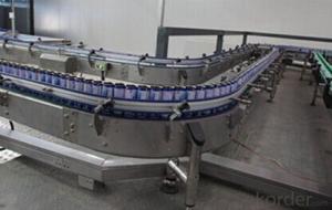 Conveying System for Packaging