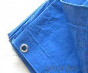 Hdpe Woven Laminated Fabric System 1