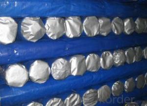 Durable blue/silver awning tarpaulin in roll