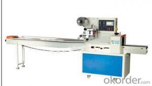 Horizontal Pillow Bag Packing Machine (SK-W450/ SK-W250/ SK-WX250) System 1