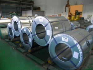 Galvanized Steel Coil-JIS G 3302 SGCC-0.5mm*1000mm System 1