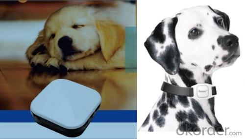 Waterproof mini gps tracker for pets, kids or elders System 1