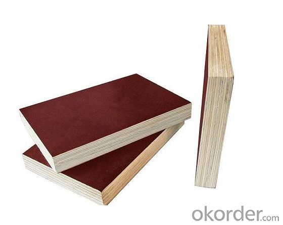 Plywood with Cotton Wood with Long Using Lifetime for Formwork
