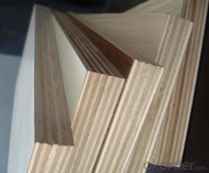 Plastic Film Coated Plywood for Bridege Construction