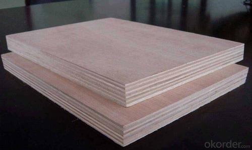 3/4" High Thickness Plywood for Apartment Building System 1