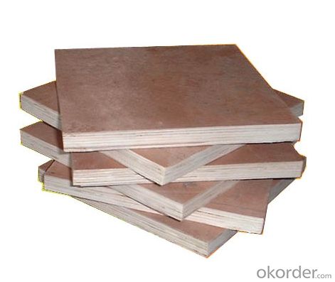 Construction Plywood in 1250*2500mm with Good quality 
