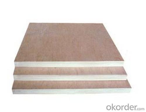 Home Depot Quality 1/2" China Made Construction Plywood System 1