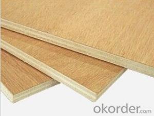 brown/black plywood in Good quality with hardwood core made in China