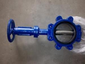 butterfly valve PTFE bushing ensure maximum shaft support and centralized alignmentChina (Mainland)
