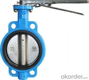 butterfly valve BSStandard Structure: Butterfly Pressure: Low Pressure System 1