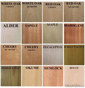 Wooden Doors Designs Manufacturer with ISO CE
