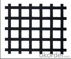 Polyester Warp-Knitted Geogrid-High quality System 1