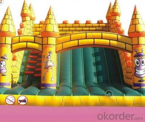 The beautiful,large inflatable castle for kids