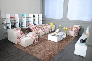 Modern fabric sofa colorful styles CMAX-03
