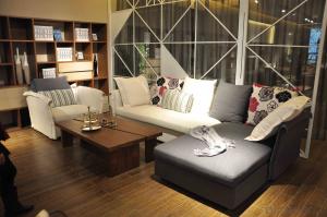 CNM Classic sofa and bed homeroom sets CMAX-20