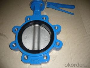 Ductile Iron flanged  Butterfly valve DN1000 System 1