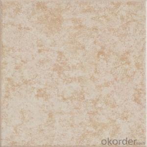 Glazed Floor Tile 300*300mm Item No. CMAX3A413 System 1