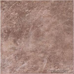 Glazed Floor Tile 300*300mm Item No. CMAXET01