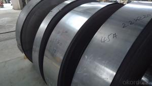Cold   rolled steel coils   and   sheets System 1