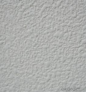 Fiberglass Ceiling White Painted Good Sale