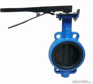Ductile Iron flanged  Butterfly valve DN500 System 1